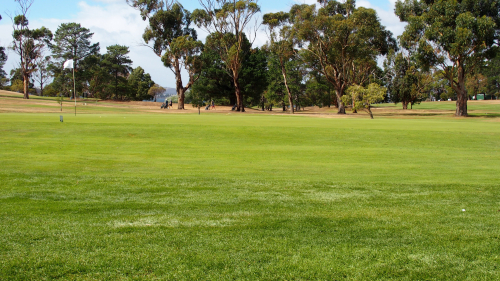 tas_rsl_golf_challenge_2024_claremont_course_ex_peter_dane